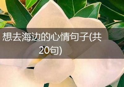 想去海边的心情句子(共20句)