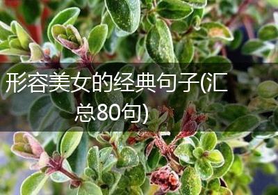 形容美女的经典句子(汇总80句)