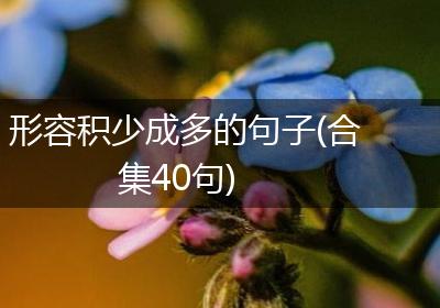 形容积少成多的句子(合集40句)