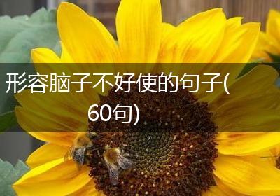 形容脑子不好使的句子(60句)