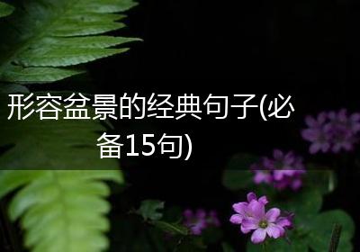 形容盆景的经典句子(必备15句)