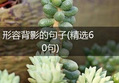 形容背影的句子(精选60句)
