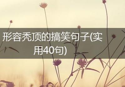 形容秃顶的搞笑句子(实用40句)