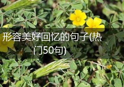形容美好回忆的句子(热门50句)