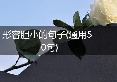 形容胆小的句子(通用50句)