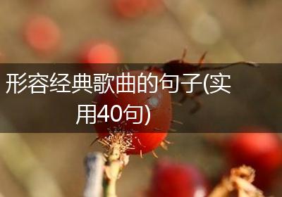 形容经典歌曲的句子(实用40句)
