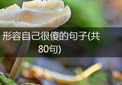 形容自己很傻的句子(共80句)