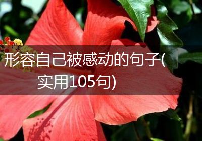 形容自己被感动的句子(实用105句)