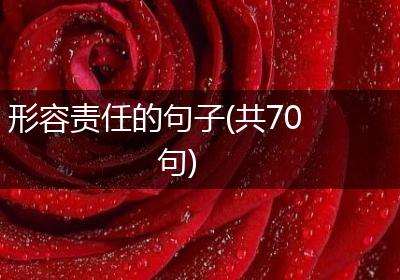 形容责任的句子(共70句)
