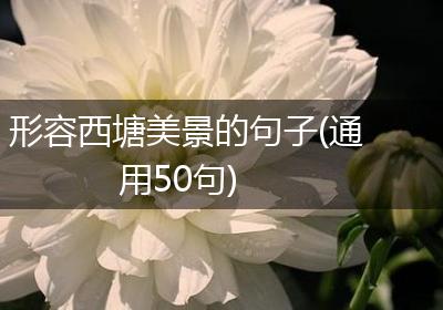 形容西塘美景的句子(通用50句)