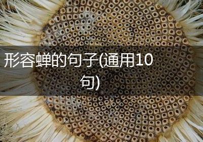 形容蝉的句子(通用10句)
