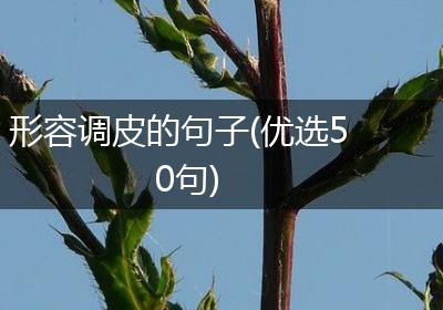形容调皮的句子(优选50句)