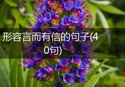 形容言而有信的句子(40句)