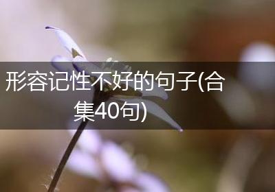 形容记性不好的句子(合集40句)