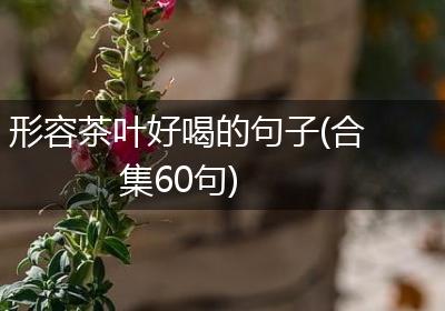 形容茶叶好喝的句子(合集60句)
