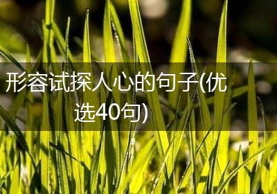 形容试探人心的句子(优选40句)