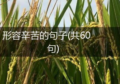 形容辛苦的句子(共60句)