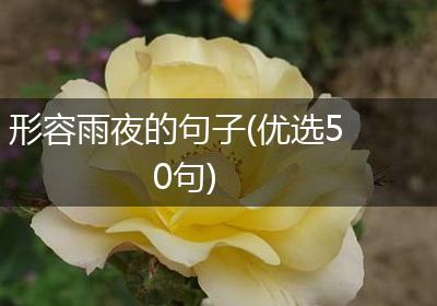 形容雨夜的句子(优选50句)