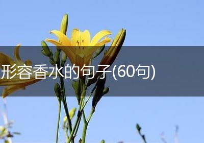 形容香水的句子(60句)