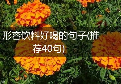形容饮料好喝的句子(推荐40句)