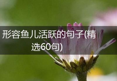 形容鱼儿活跃的句子(精选60句)