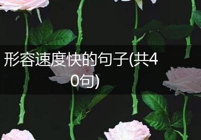 形容速度快的句子(共40句)