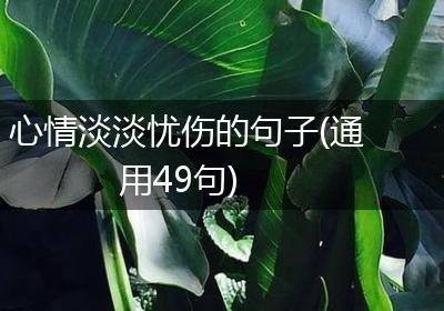 心情淡淡忧伤的句子(通用49句)