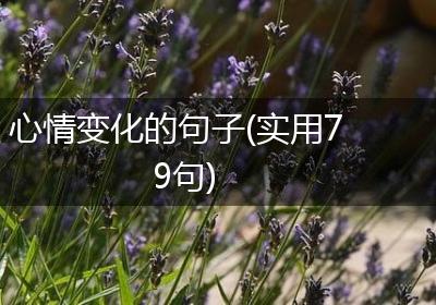 心情变化的句子(实用79句)