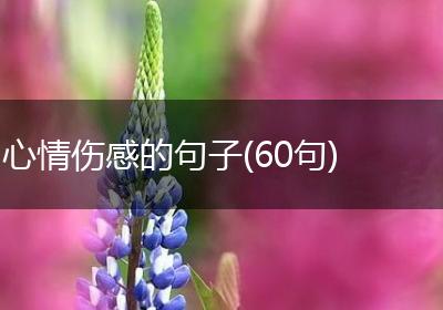 心情伤感的句子(60句)