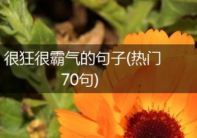 很狂很霸气的句子(热门70句)