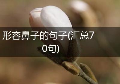 形容鼻子的句子(汇总70句)