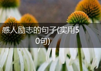 感人励志的句子(实用50句)