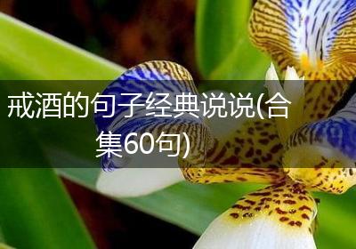 戒酒的句子经典说说(合集60句)