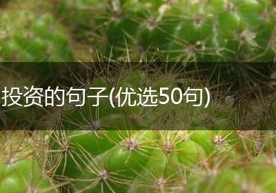 投资的句子(优选50句)
