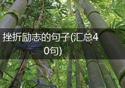 挫折励志的句子(汇总40句)