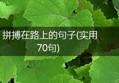 拼搏在路上的句子(实用70句)