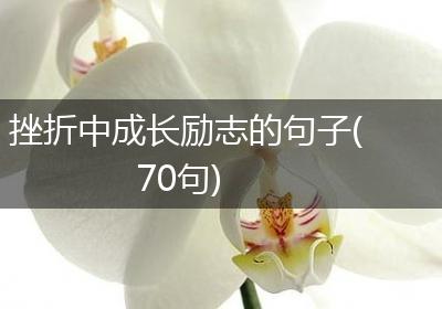 挫折中成长励志的句子(70句)