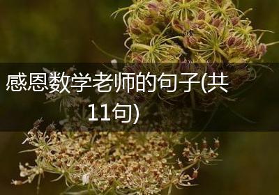 感恩数学老师的句子(共11句)