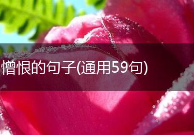 憎恨的句子(通用59句)