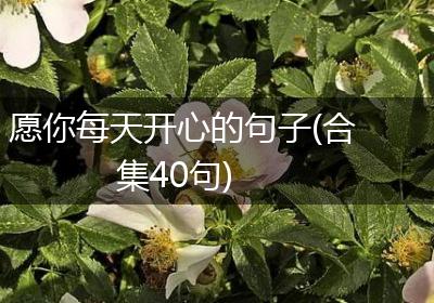 愿你每天开心的句子(合集40句)