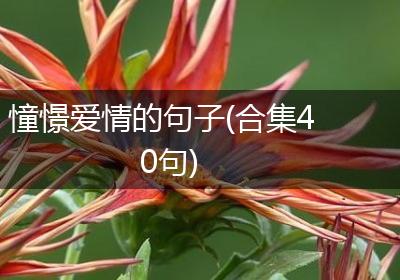 憧憬爱情的句子(合集40句)