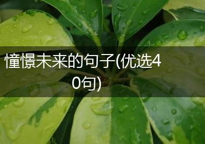 憧憬未来的句子(优选40句)