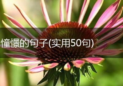 憧憬的句子(实用50句)