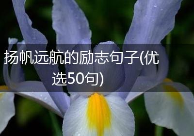 扬帆远航的励志句子(优选50句)