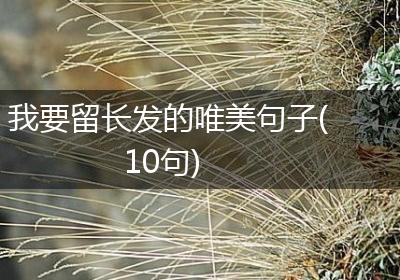 我要留长发的唯美句子(10句)