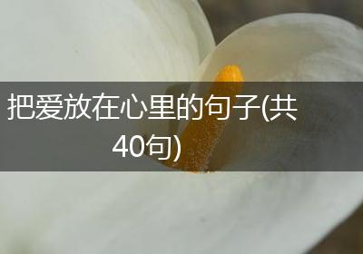把爱放在心里的句子(共40句)