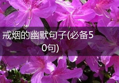 戒烟的幽默句子(必备50句)