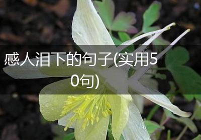 感人泪下的句子(实用50句)