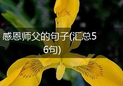 感恩师父的句子(汇总56句)