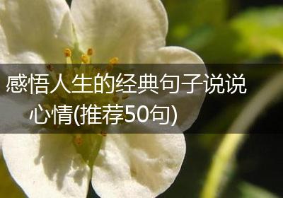 感悟人生的经典句子说说心情(推荐50句)